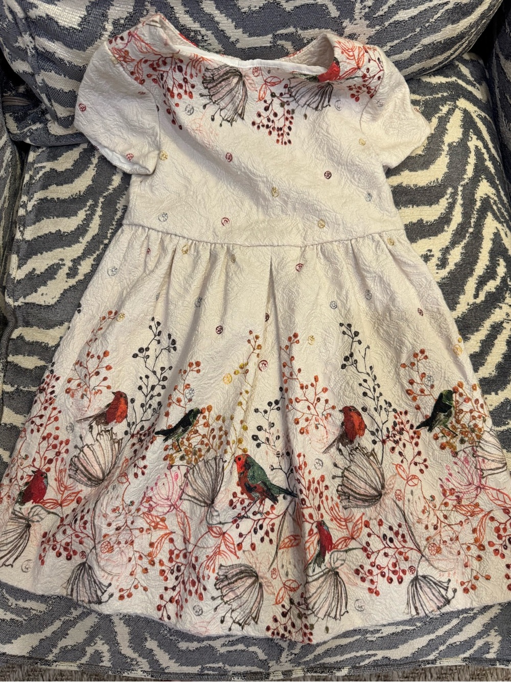 ZARA GIRLS Soft Collection Fall bird dress size 6 run like a 4/5